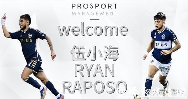 世界杯比赛预测：球迷们的心愿成真？